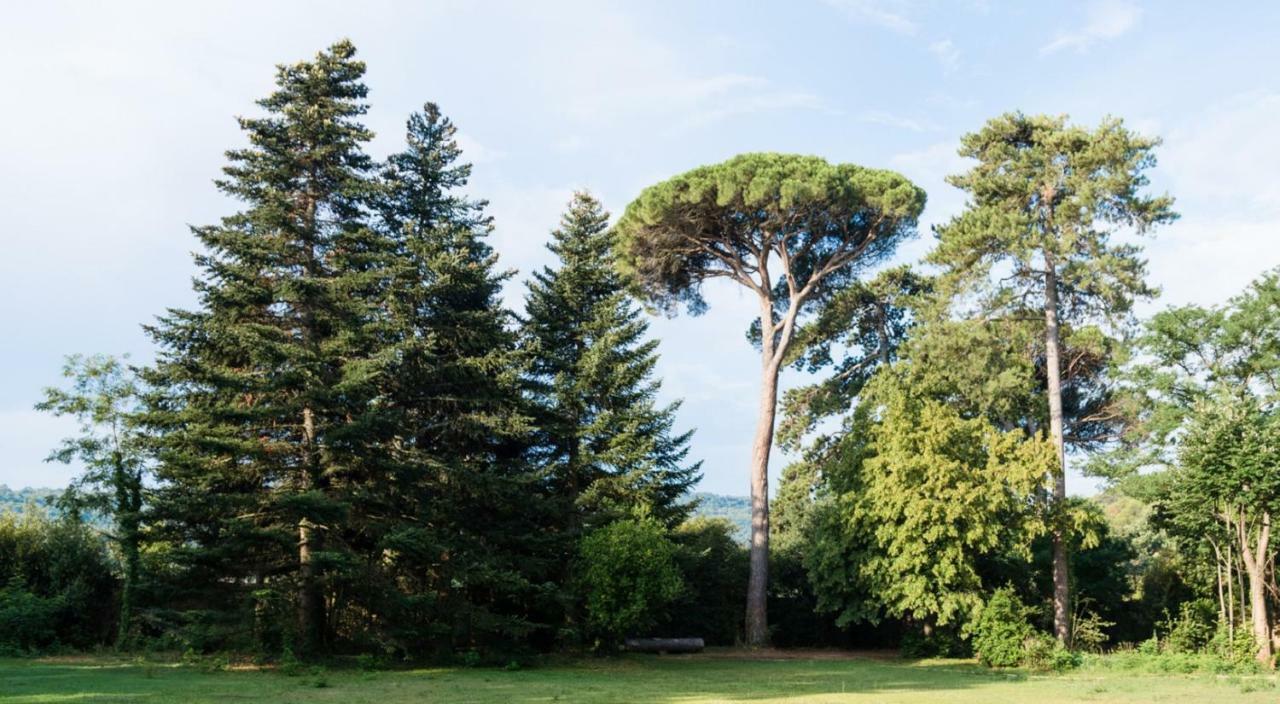 Chateau De Montcaud Sabran Zewnętrze zdjęcie